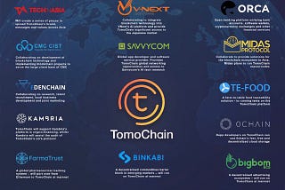 The Strategic Partnerships of Tomochain