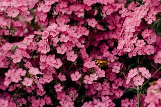 How Writing Helped Me Survive Breast Cancer