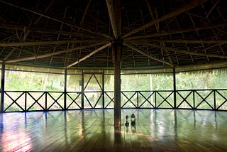 The inside of a maloca, the ceremonial wooden hut used by shamans of the Amazon