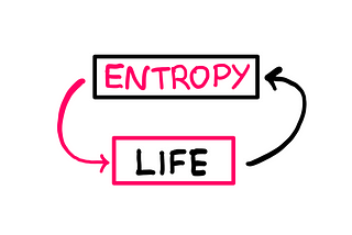 The words life and entropy pointed at each other in a circular fashion. The word entropy is in pink inside a black box, whereas the word life is in black with inside a pink box. While entropy points to life with a curved pink arrow, life points to entropy with a curved black arrow.