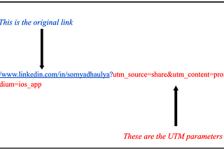 From Mystery URLs to Data Goldmine: The Power of UTMs