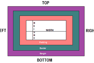 BOX MODEL(A simple guide)
