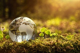 Setting Environmental Targets For Your Business