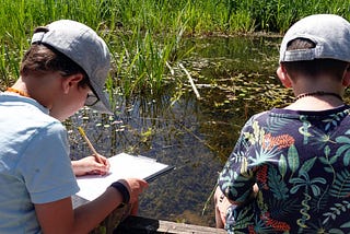 Exploring British Pond Life