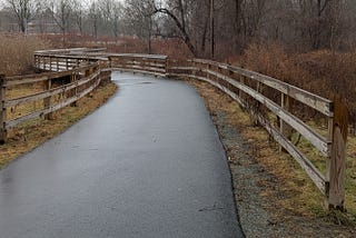 A Winter Walk