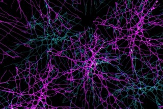 Institutional monoculture, the hidden wiring, and why we need an army of boring innovators