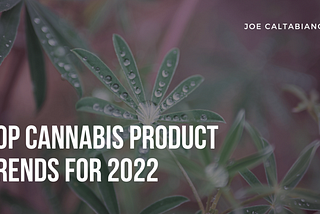 Top Cannabis Product Trends for 2022