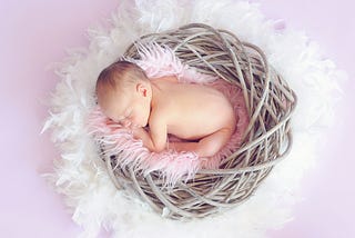 A baby nestled in a birds nest.