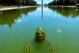 Trump Signs Peace Deal With Algae’s Supreme Leader