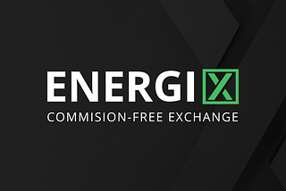 2021 is Going to be a Big Year for Energi X