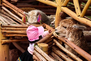 A Photographer’s Guide to Cusco