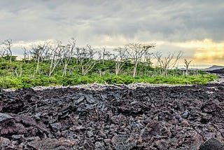 Hawaiian Volcanoes: Where And What to Look For. Big Island, Maui