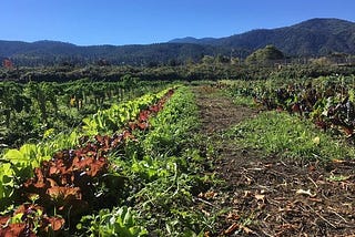 Sustainability At The Southern Oregon University Farm