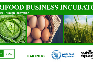 Agrifood Business Incubator 2020, Arusha, Tanzania