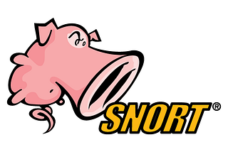 SNORT - Network IDS & IPS