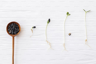 Spring Bean Life cycle