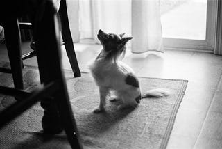 I hate that I beg…