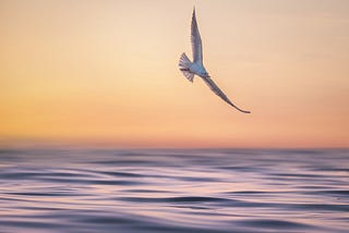 Effects of Ego Death and Spiritual Awakening