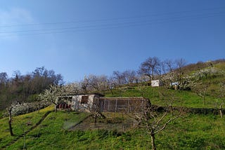 Il suono dell’isolamento