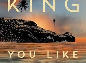 Book Review: You Like it Darker: Shorty Story collection by Stephen King (2024) Simon and Shuster