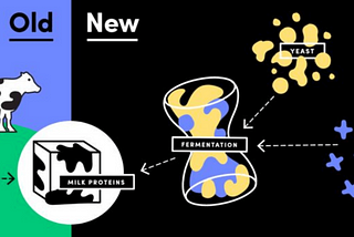 Альтернативное мясо и молоко будущего