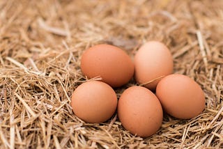 isolation vs incubation