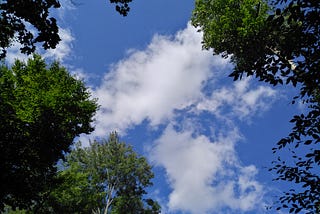 A blue sky with white, fluffy clouds is seen through a canopy of trees.