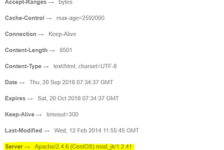 How to ensure REST APIs in Node.js are secure?