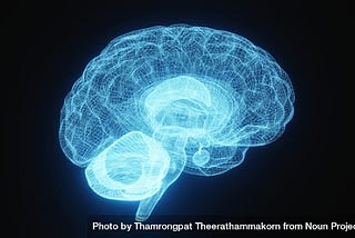 5 Cognitive Biases & 1 Protocol VC Can Use to Avoid Them