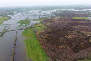 Ireland Declared A Climate Emergency. So Why Are We Building A Motorway Through A Bog?
