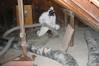 mold removal project in west palm beach fl