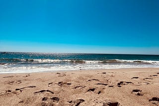 the shore along the pacific ocean