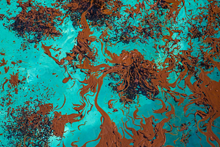 Globby brown oil floating in turquoise blue water. Image source: https://www.rawpixel.com/image/8732347/photo-image-public-domain-blue-pattern