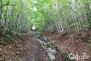 Peaks of the Balkans Trail Stage 9: Ropojansko Jezero to Qafa e Pejës (2023)