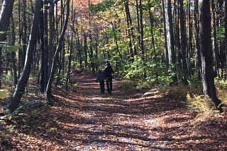 Why You Should Get Up and Take a Walk Right Now