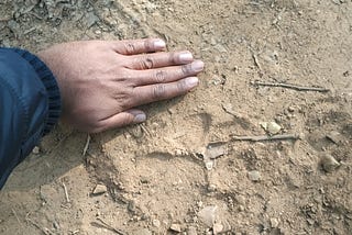 Fear of The Unknown — A Jim Corbett Adventure, the way it was in cold December!