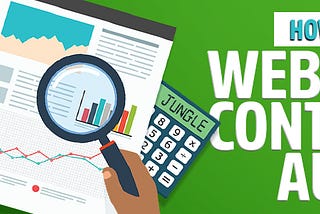 Website content audit