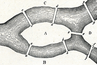 Introduction to Network Theory