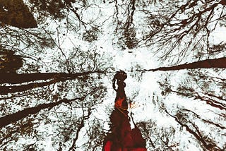 The Obstacle is You