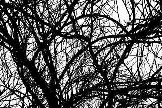 Is photography stuck in a constantly repeating loop?