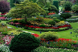 Garden of Love