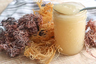 Sea Moss Benefits and Side Effects: All You Must Know