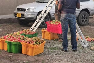 How to get started with agribusiness