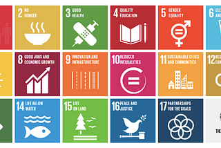 How can you contribute to the Sustainable Development Goals? Don’t look here.