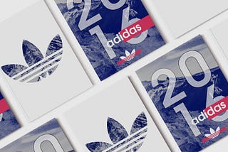 Case Study | Adidas 2016 Annual Report