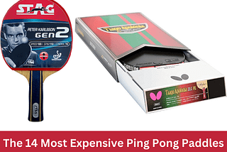 The 14 Most Expensive Ping Pong Paddles