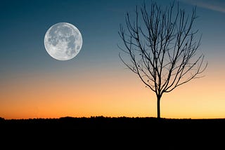 The moon