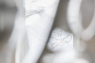 winter light in window, blurs, bare branches | © pockett dessert, light
