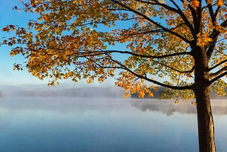 Seasonal Transition Support