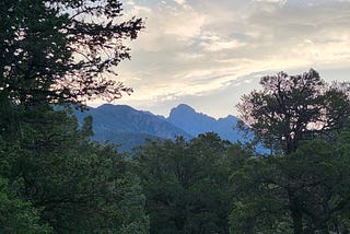 Revisiting Gratitude As Presence, Presence As Gratitude